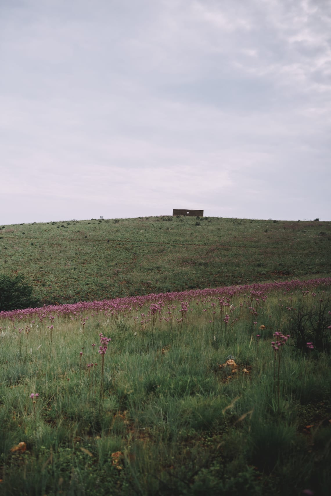 Farmhouse 58