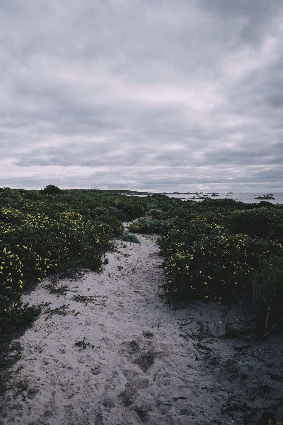 Paternoster