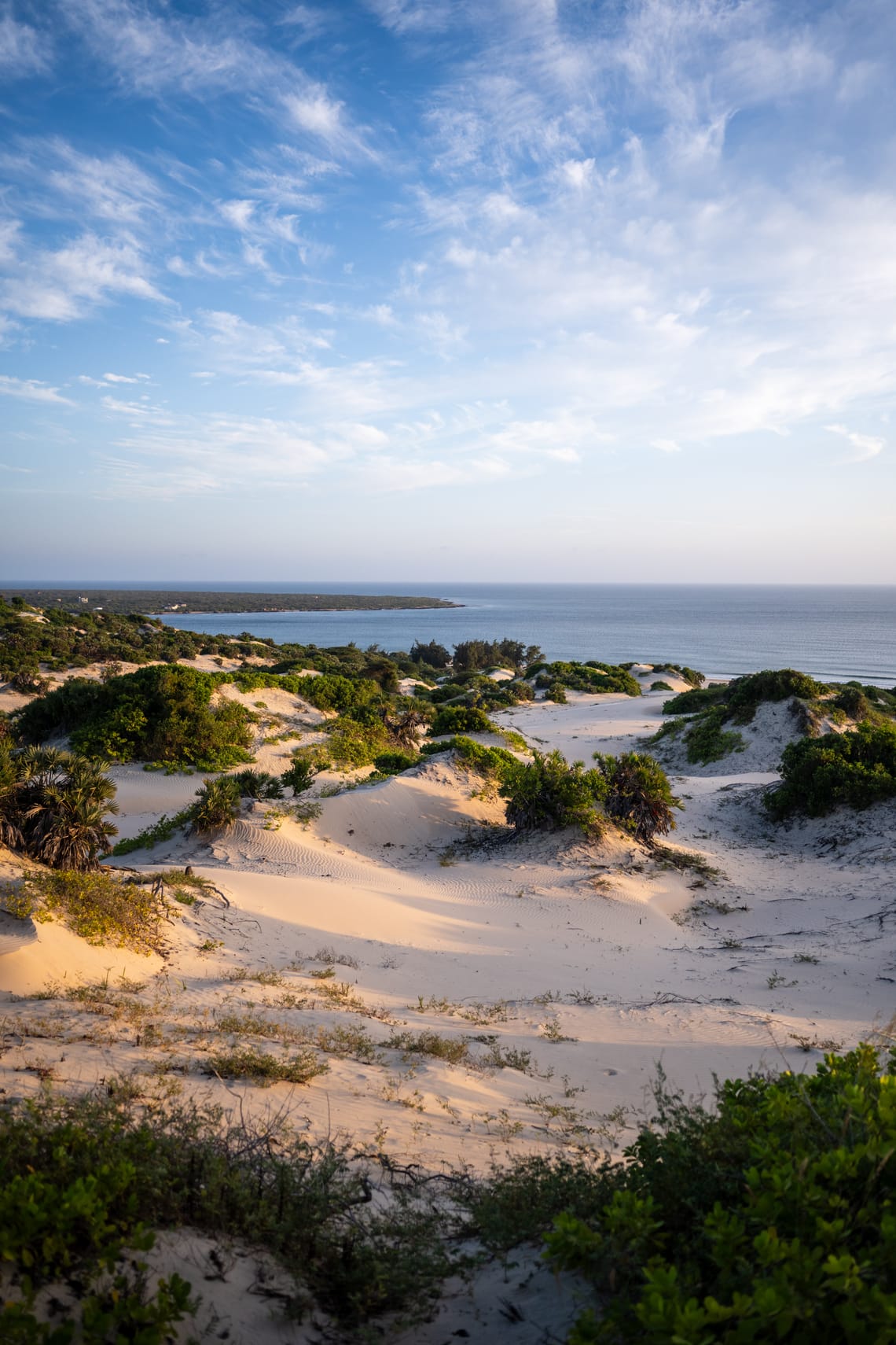 Lamu Dunes