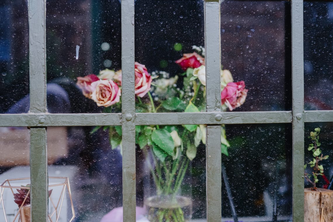 Flowers behind bars
