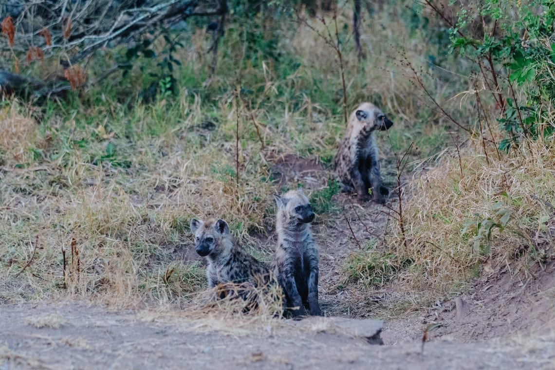 Kruger National Park