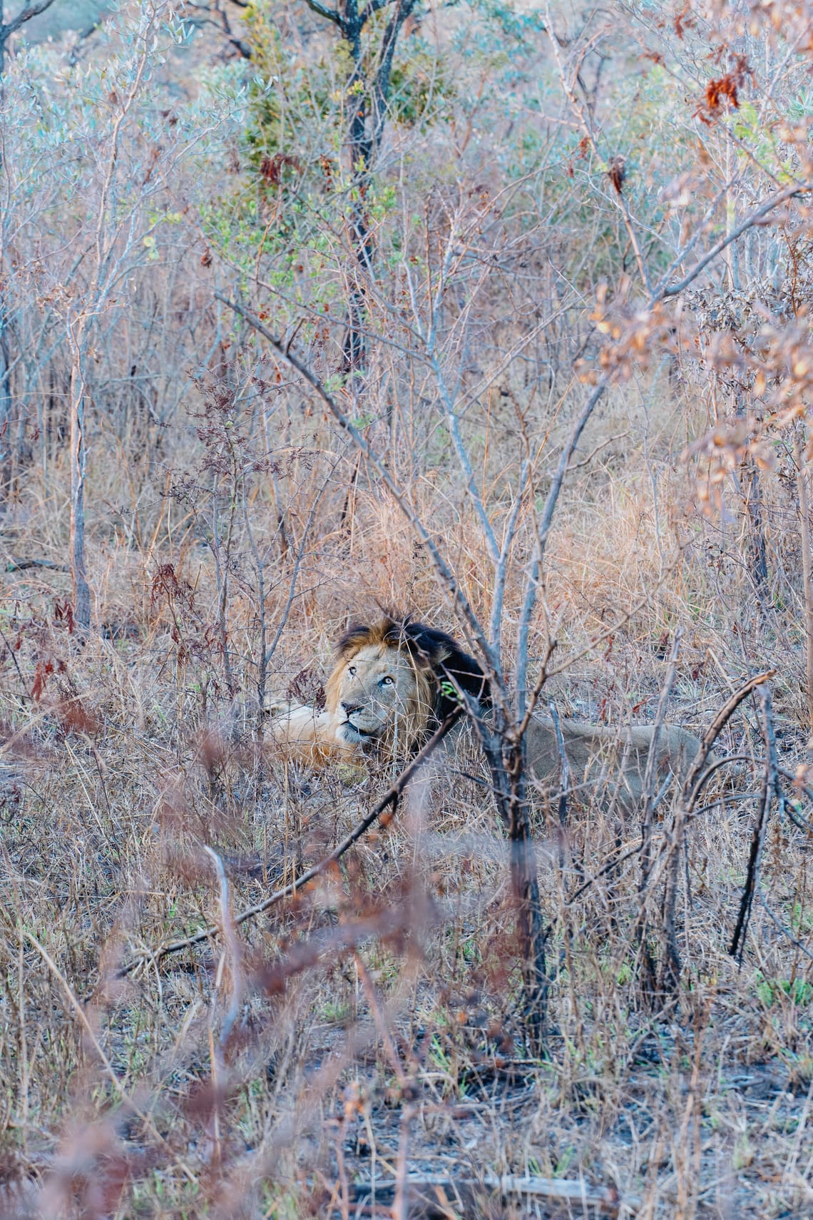 Kruger National Park