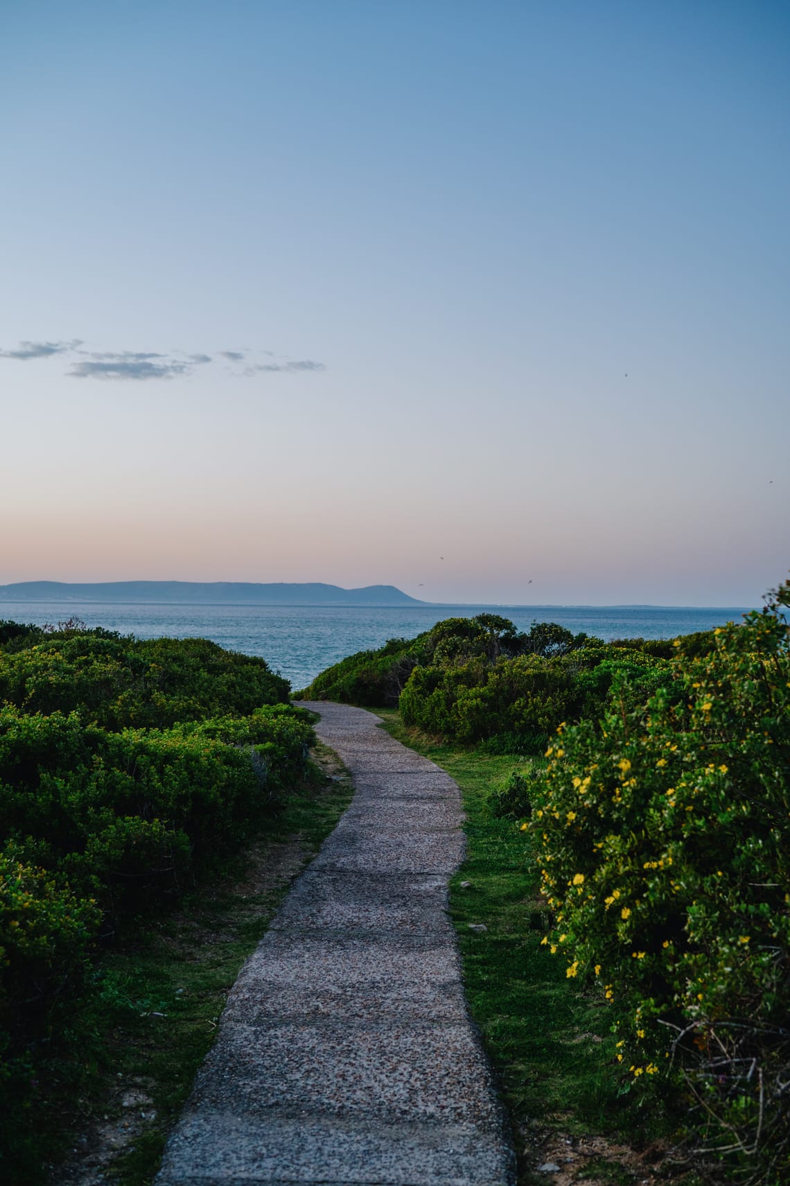 Hermanus Cliff Path