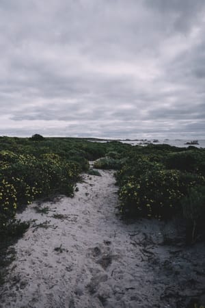 Paternoster
