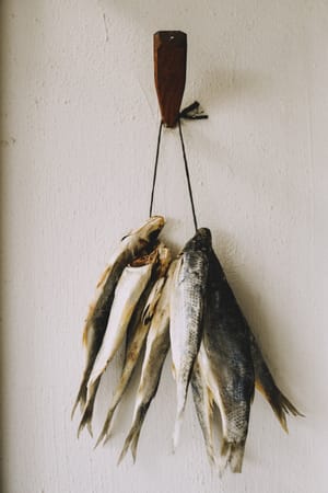 Wolfgat