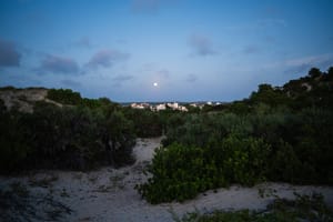 Moonrise over Lamu