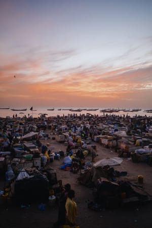 Mbour Fish Market