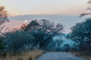 Kruger National Park