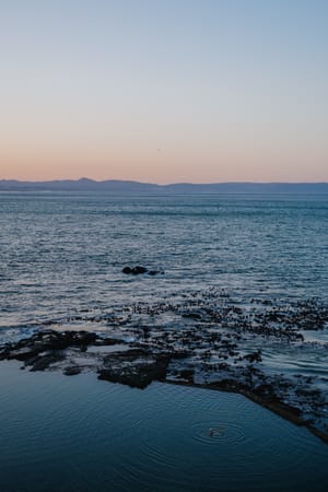 Hermanus Cliff Path
