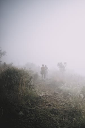 Hoogland Mist